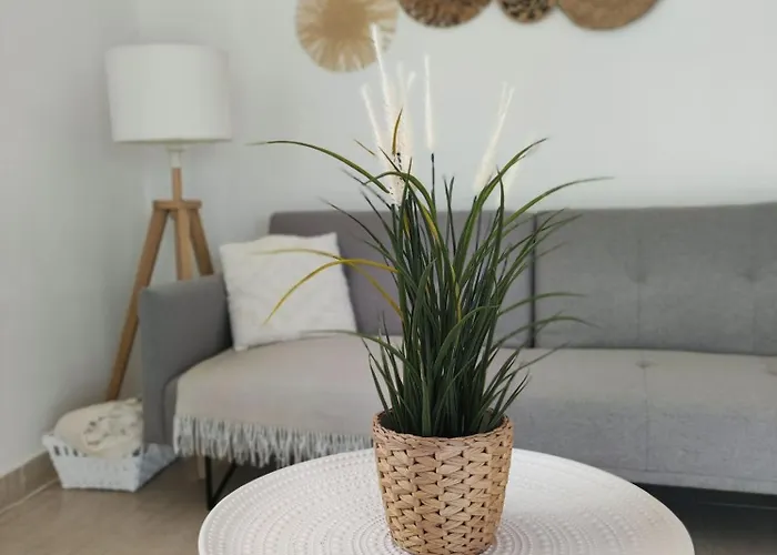 Coastal Dream - Fuseta