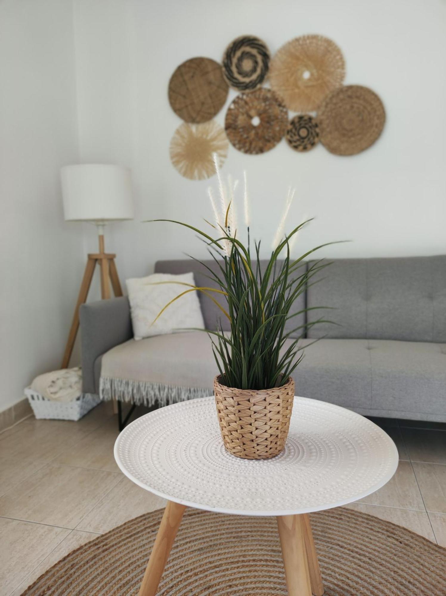 Coastal Dream - * Fuseta